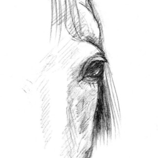 Image of Soulful Silence by Diana Hand